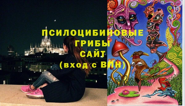 метамфетамин Богородицк