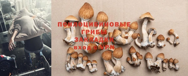 тгк Богданович